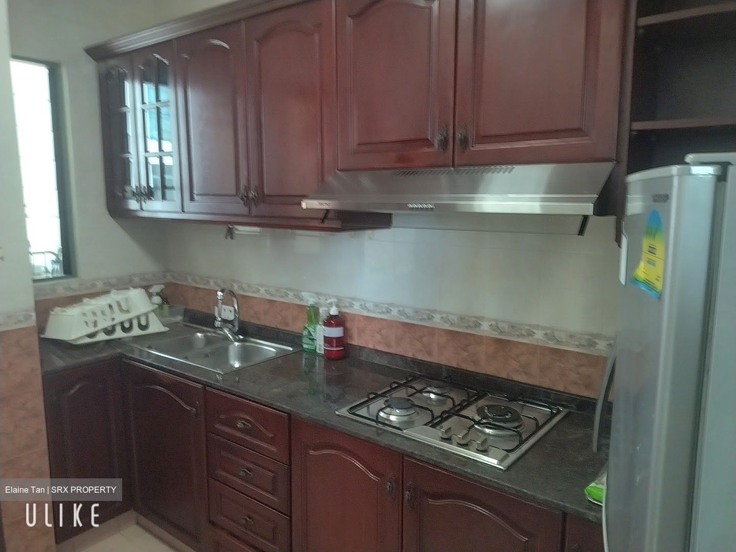 Tanglin Regency (D10), Condominium #597168221